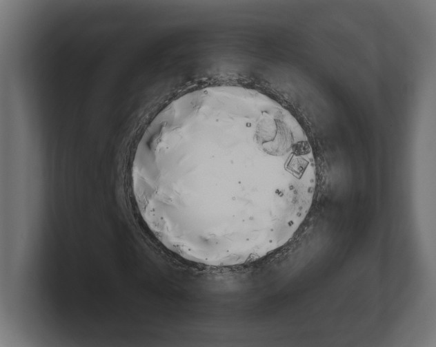 X0000101090769200806261101