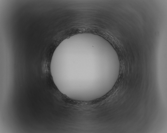 X0000101090770200806261101