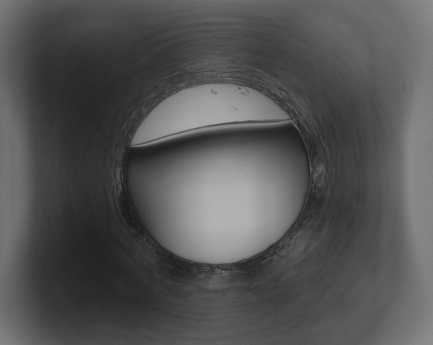 X0000101090772200806261101