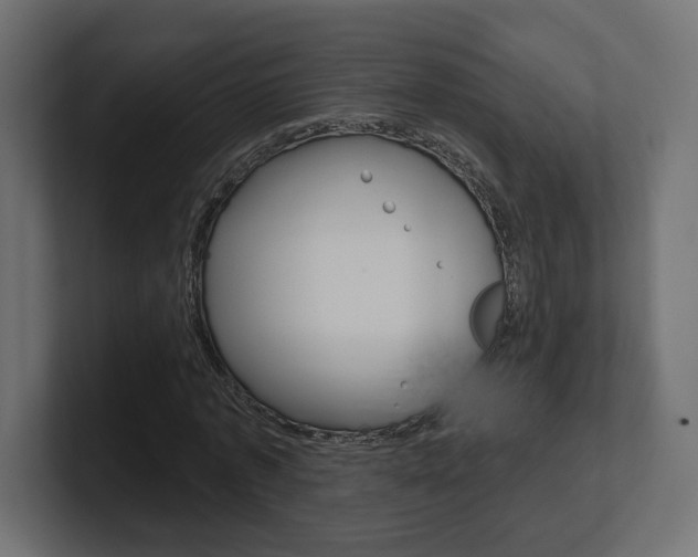 X0000101090773200806261101