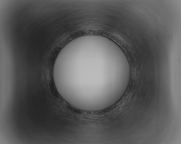 X0000101090774200806261101