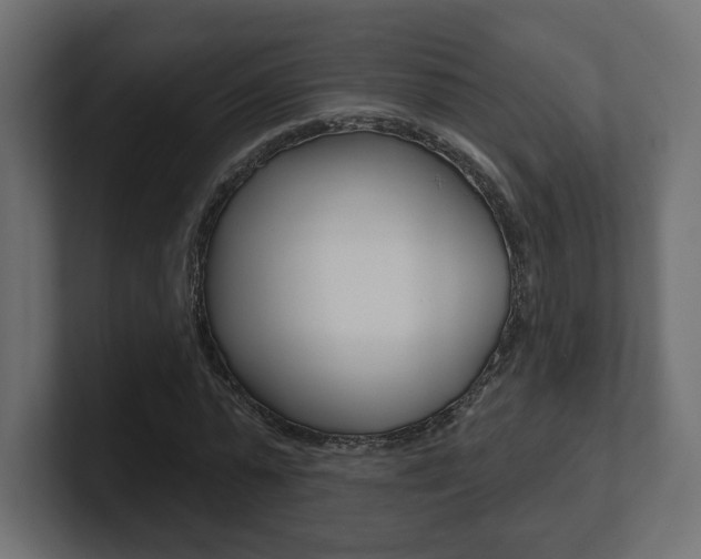 X0000101090775200806261101