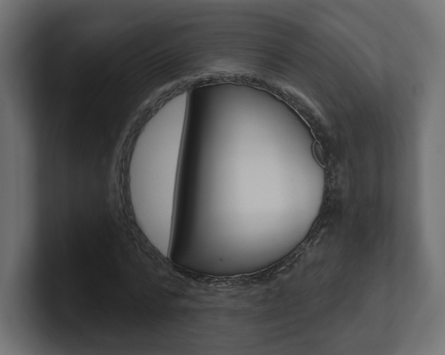 X0000101090776200806261101