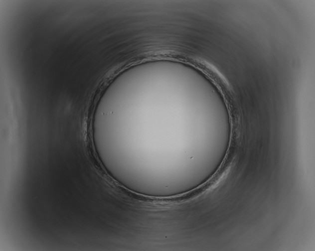 X0000101090777200806261101