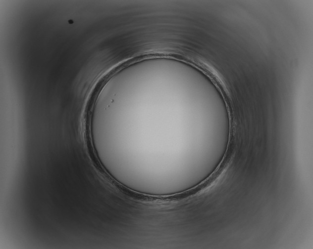 X0000101090779200806261101