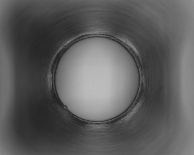 X0000101090781200806261101