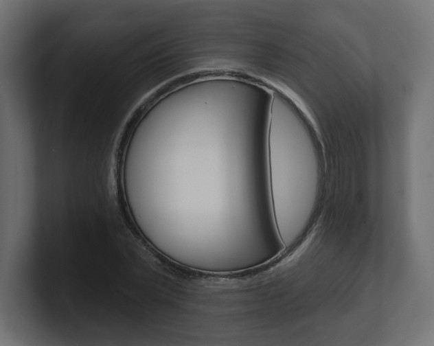 X0000101090783200806261101