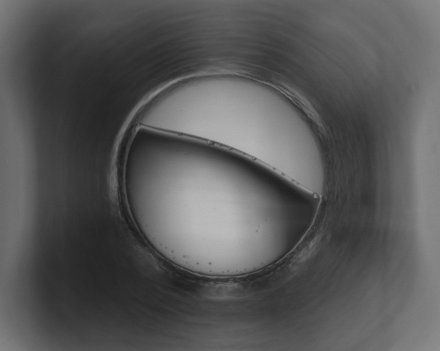X0000101090784200806261101
