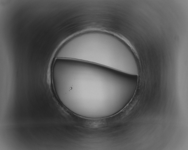 X0000101090791200806261101