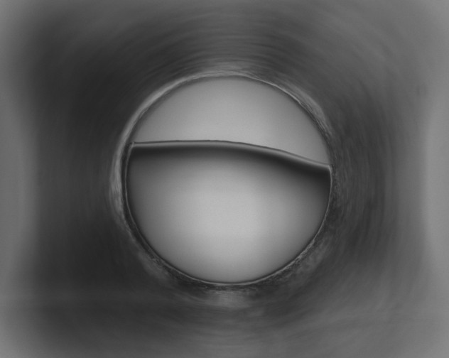 X0000101090792200806261101