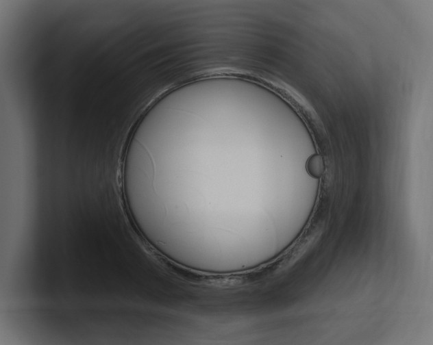 X0000101090793200806261101