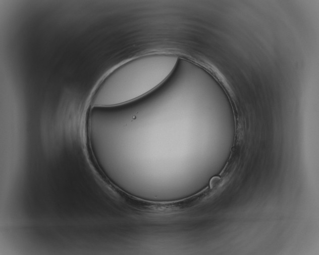 X0000101090795200806261101