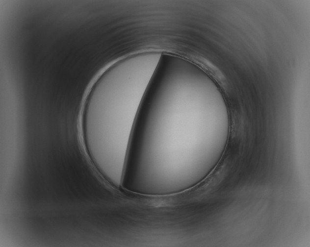 X0000101090796200806261101
