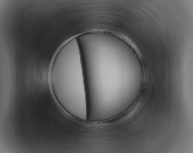 X0000101090803200806261101