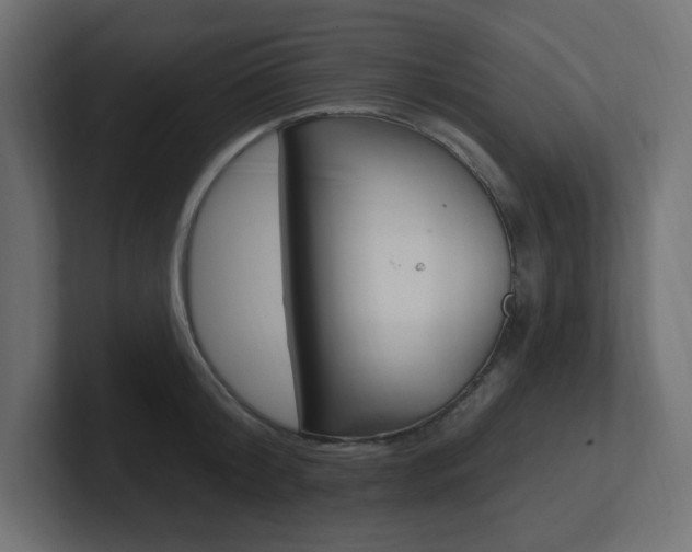 X0000101090804200806261101