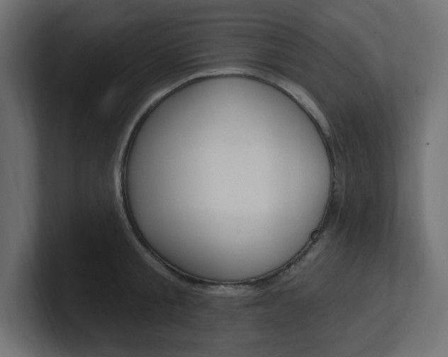 X0000101090805200806261101