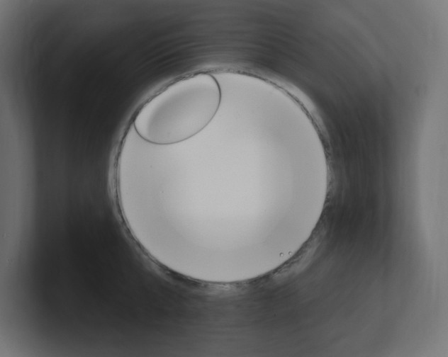 X0000101090807200806261101