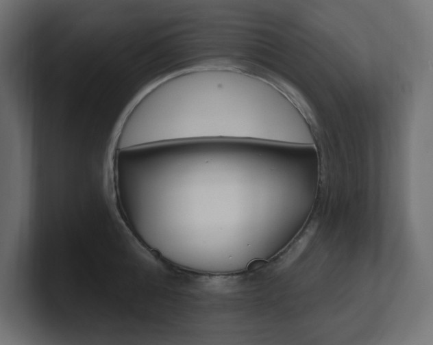 X0000101090808200806261101