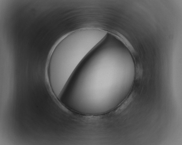 X0000101090812200806261101