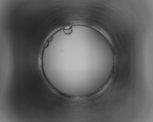 X0000101090814200806261101