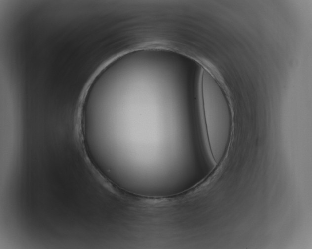 X0000101090816200806261101