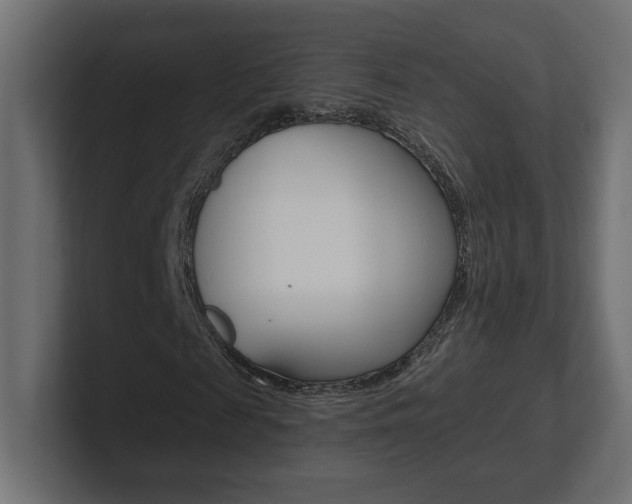 X0000101090817200806261100