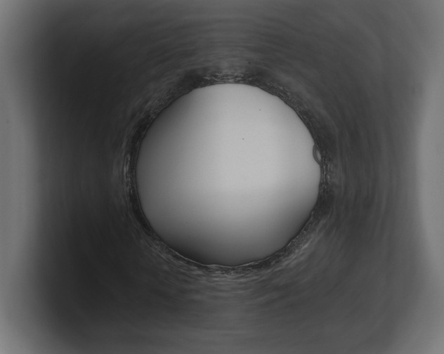 X0000101090818200806261100