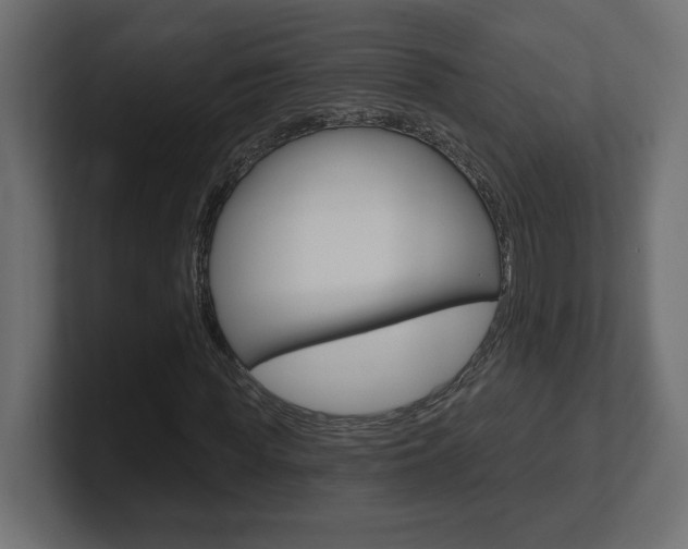 X0000101090819200806261100