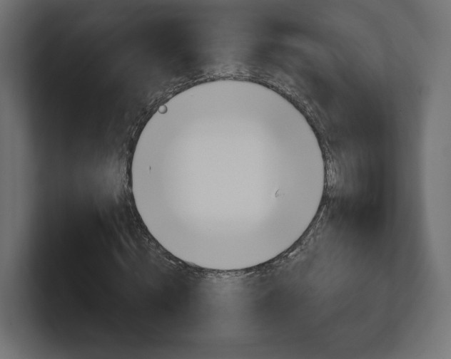 X0000101090820200806261100