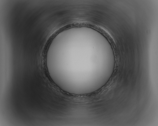 X0000101090823200806261100
