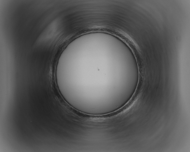 X0000101090825200806261100