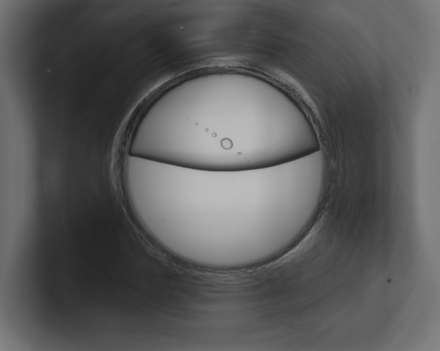 X0000101090827200806261100