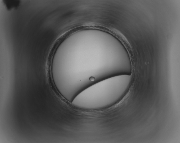 X0000101090831200806261100