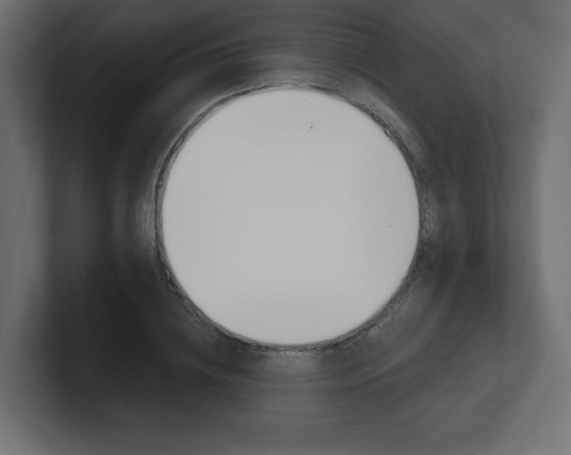X0000101090836200806261100