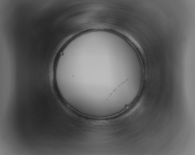 X0000101090837200806261100