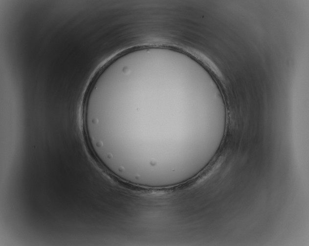X0000101090839200806261100