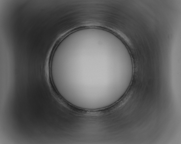 X0000101090840200806261100