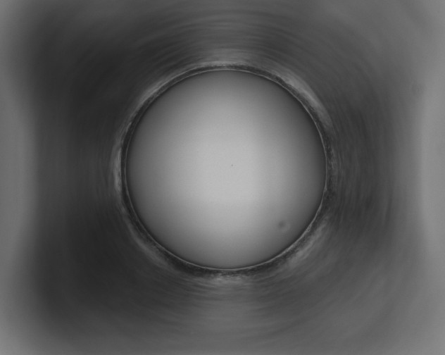 X0000101090842200806261100