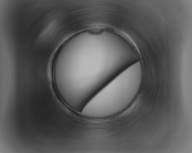 X0000101090843200806261100