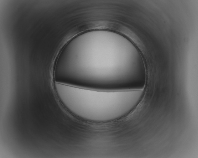X0000101090850200806261100