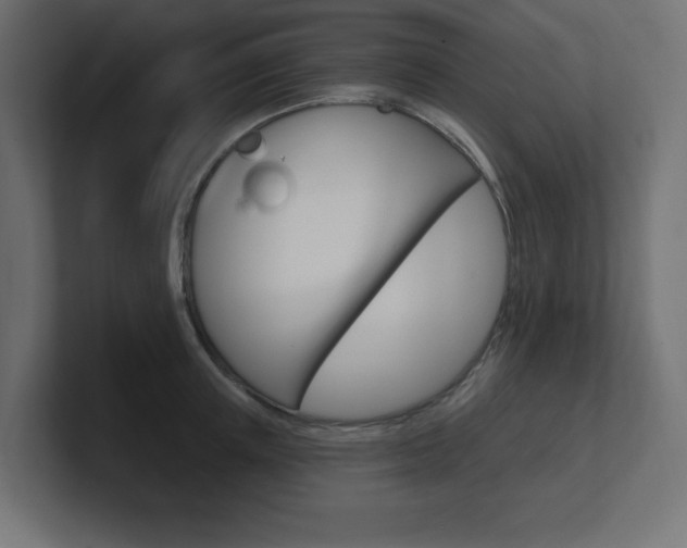 X0000101090851200806261100