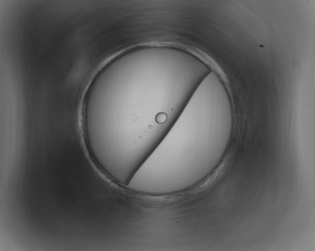 X0000101090855200806261101