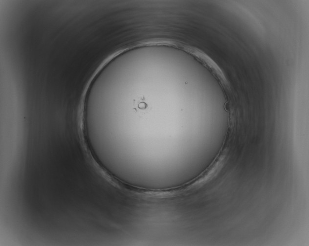 X0000101090860200806261101