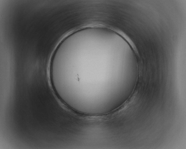 X0000101090861200806261101