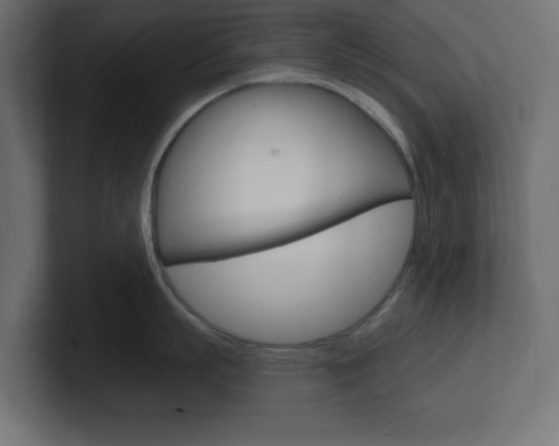 X0000101090863200806261101
