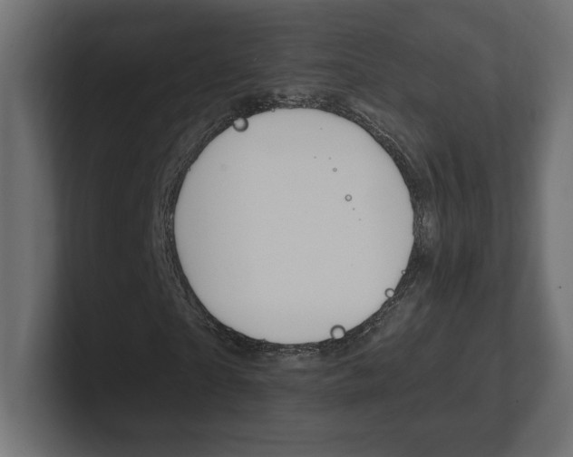 X0000101090865200806261100