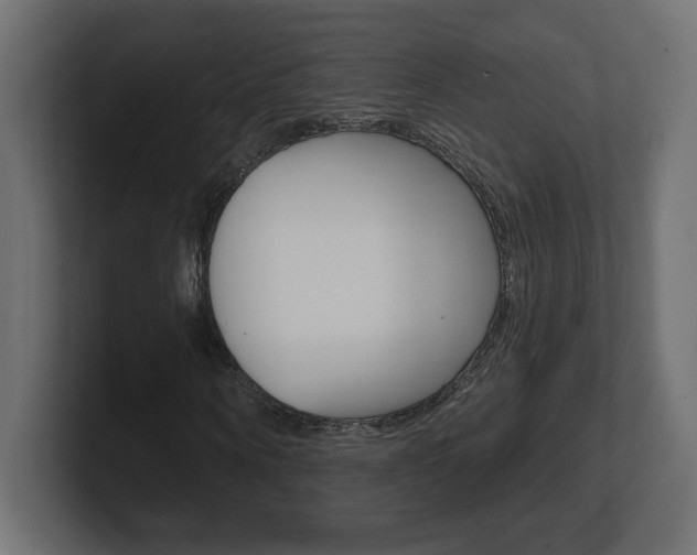 X0000101090866200806261100