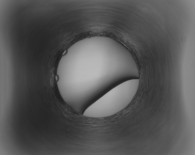 X0000101090868200806261100