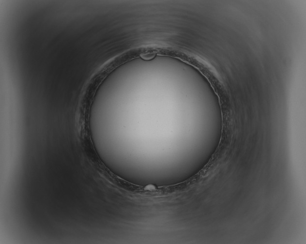 X0000101090872200806261100