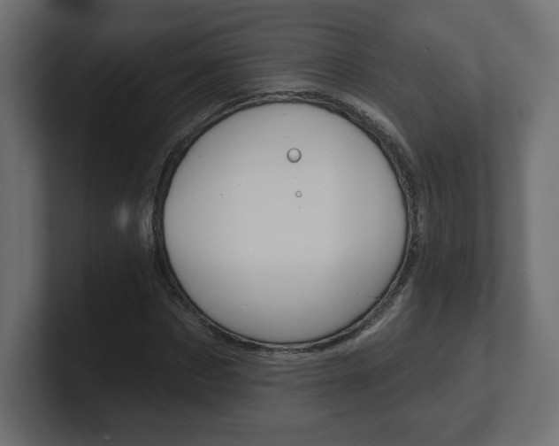X0000101090873200806261100